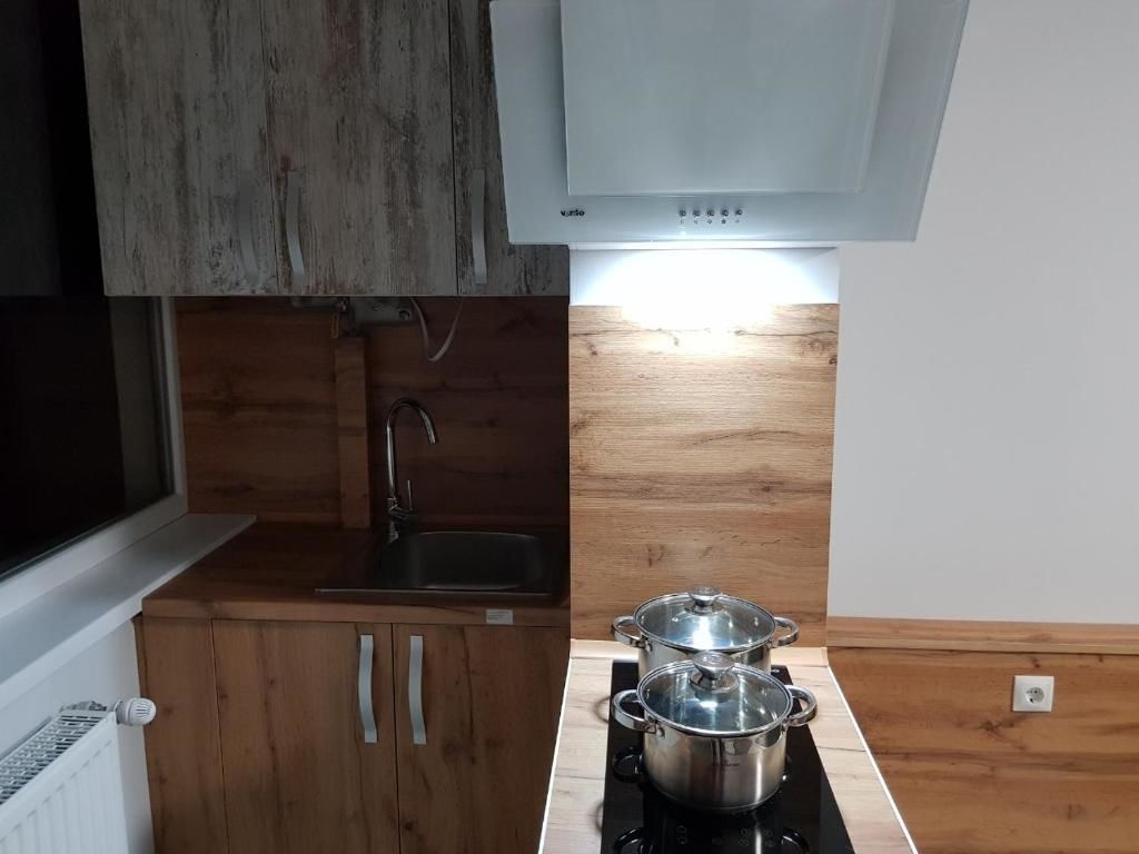 Апартаменты Silver Star Apartment 40b Ужгород-20